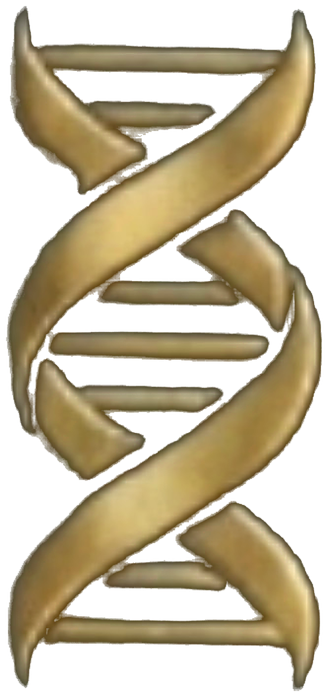 Flux Labs